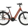 E-Bikes Trek | District+ 4 Lowstep