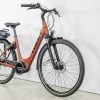 E-Bikes Trek | Verve+ 1 Lowstep