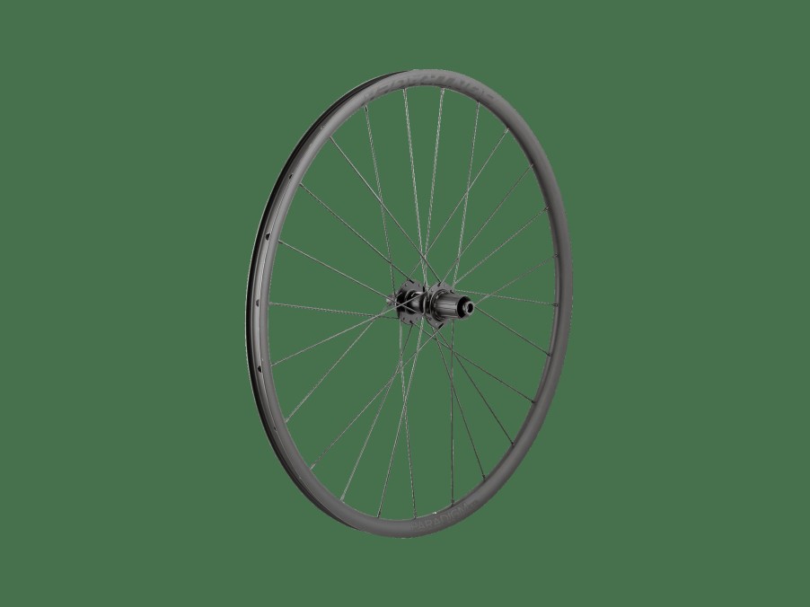 Uitrusting Trek Wielen | Bontrager Paradigm Sl Centerlock Disc 24H Silver Nipples 700C Road Wheel Black