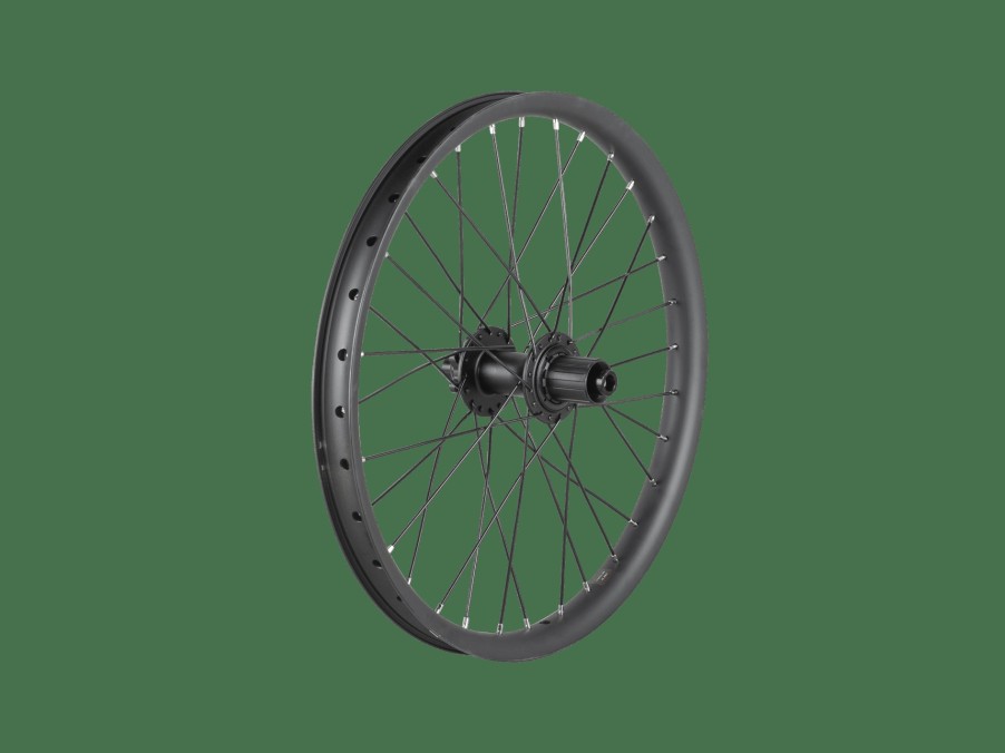 Uitrusting Trek Wielen | Trek Cargo Bike 6-Bolt Disc 20" Wheel Black