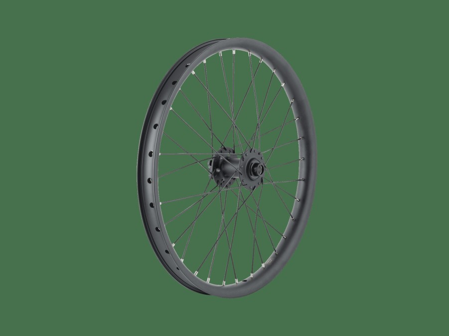 Uitrusting Trek Wielen | Trek Cargo Bike 6-Bolt Disc 20" Wheel Black