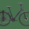 Stad Trek | Verve 2 Equipped Lowstep Galactic Grey